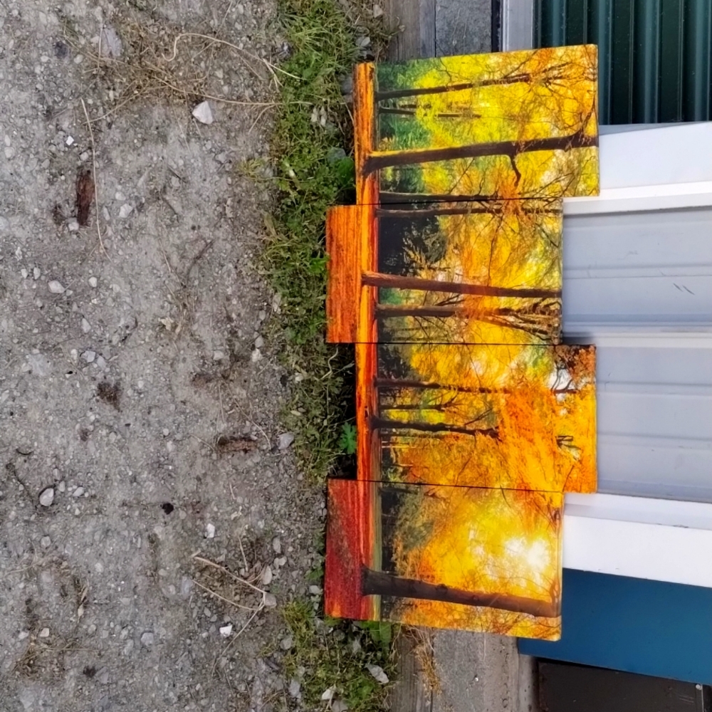 Canvas Art